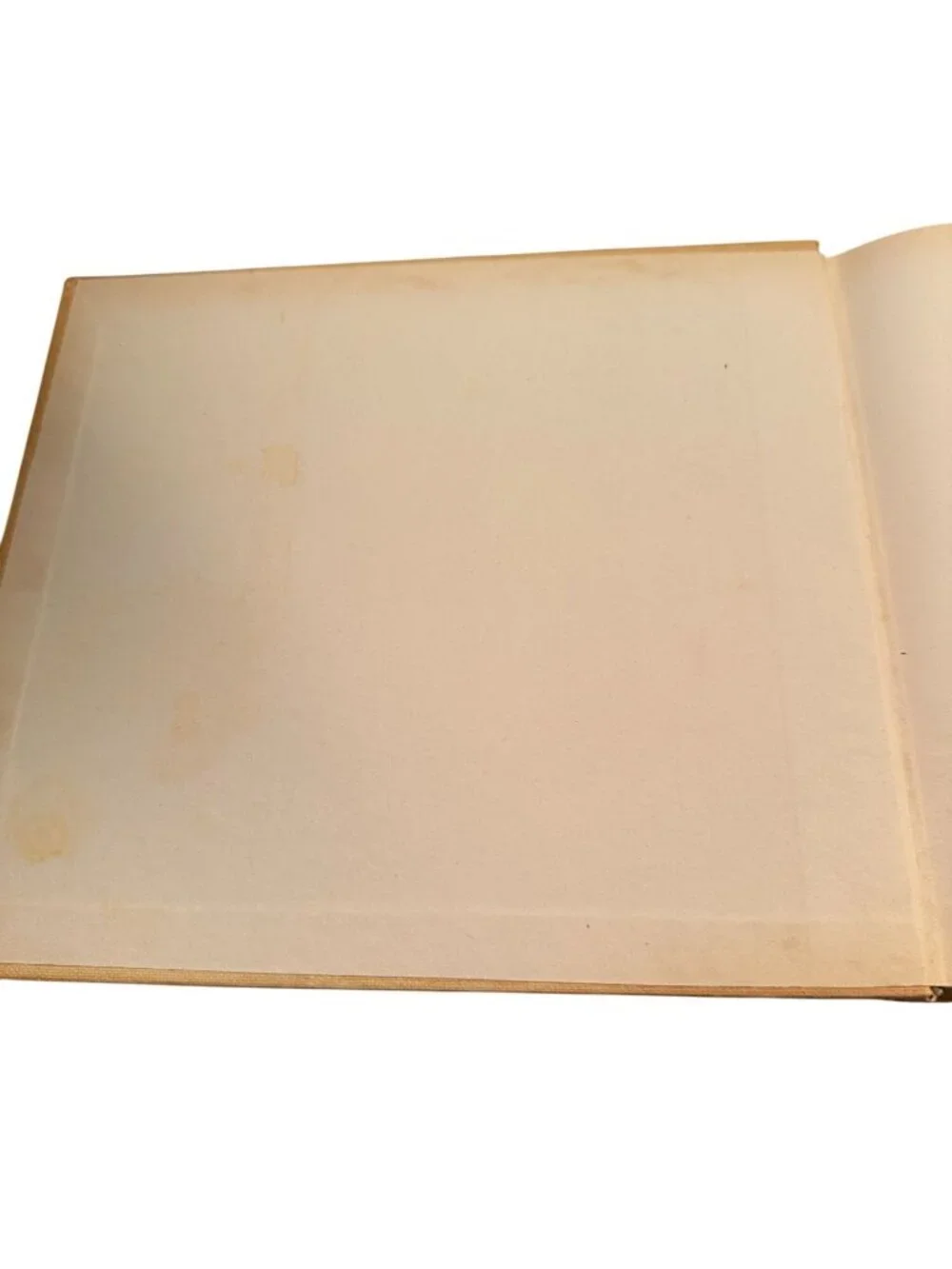 Caproni Nella Prima Guerra Mondiale Vintage WWII Book Italian Illustrations
